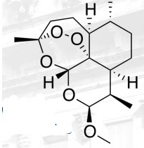 <p>ARTEMISININ ANTIMALARIALS</p>