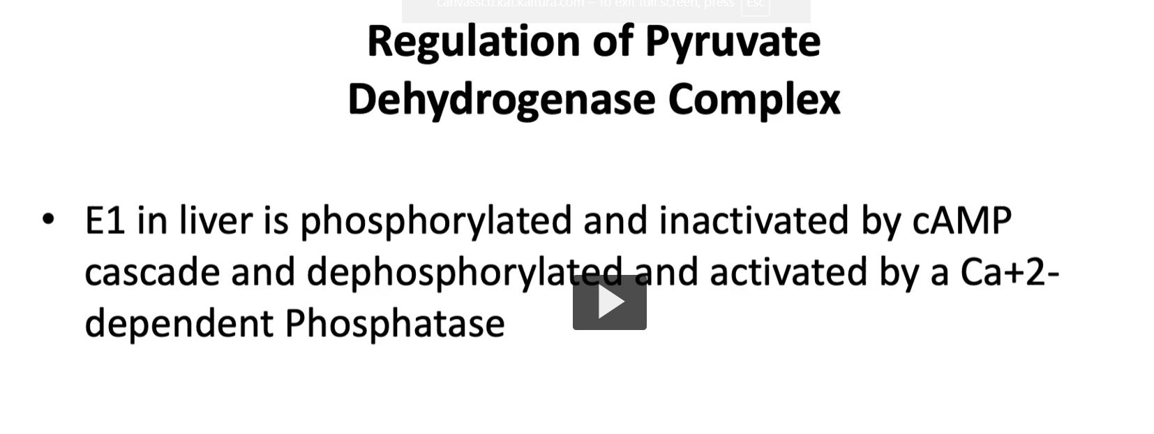 <p><u>liver control over PDC with insulin, cAMP, glucagon and glucose.</u></p><p><strong>another control </strong>seen in <strong>pyruvate dehydrogenase complex</strong> is in the <strong>liver</strong>, the<strong> first enzyme is phosphorylated </strong>and<strong> inactivated by the cyclic AMP (cAMP) cascade.</strong></p><ol><li><p>this <strong>cAMP cascade</strong> can be <strong>controlled</strong> by stress hormone glucagon since it is in the liver.</p></li><li><p>the<strong> presence of glucagon</strong>, <strong>during starvation </strong>will <strong>help preserve glucose</strong> and <strong>stop the pyruvate dehydrogenase complex</strong>, <strong>preventing formation of acetyl-CoA due to irreversibility.</strong></p></li><li><p>then, in a fed state, insulin will be predominant and cyclic AMP will be activated by causing dependent phosphate.</p></li></ol><p></p>