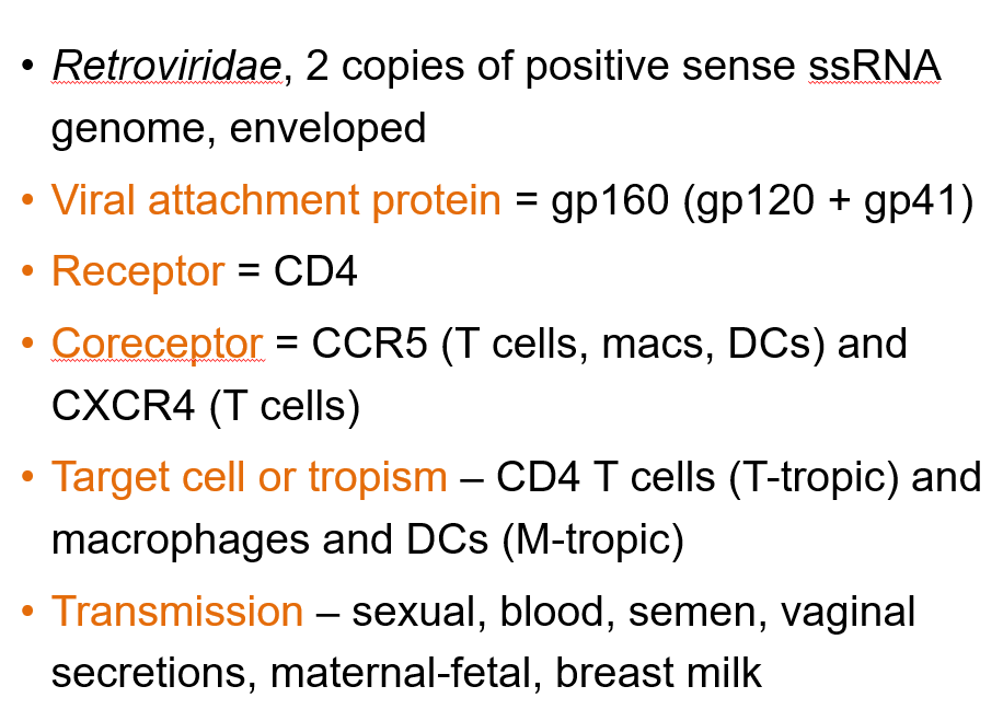 <p><strong>CCR5</strong> (on T cells, macrophages, dendritic cells) and <strong>CXCR4</strong> (on T cells).</p>