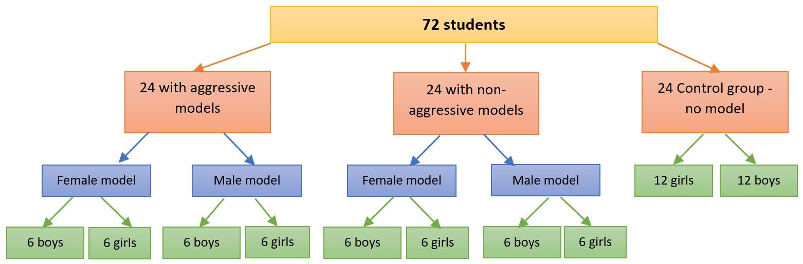 <ul><li><p><mark data-color="yellow">72 children (36 boys and 36 girls).</mark></p></li><li><p><mark data-color="yellow">Ages 3 to 6.</mark></p></li><li><p>From <mark data-color="yellow">Standard university nursery school.</mark></p></li><li><p>There were <mark data-color="yellow">2 models male and a female.</mark></p></li></ul>