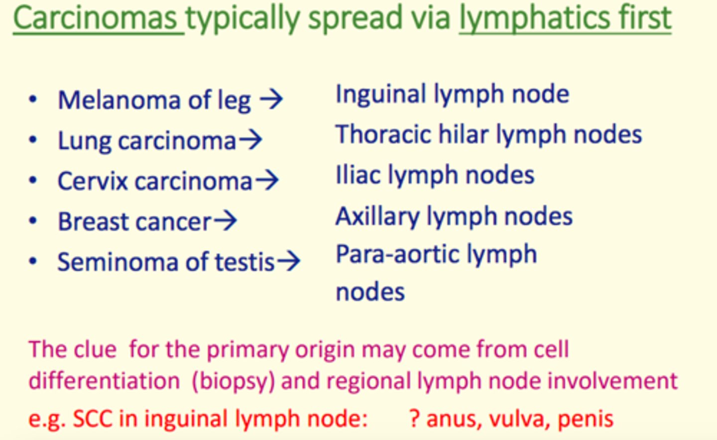 <p>Lymphatics</p>
