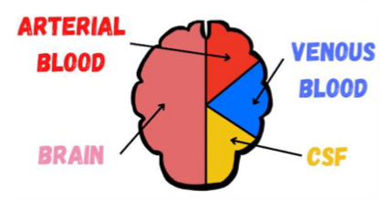 <p>brain is a “box” of <strong><u>incompressible</u></strong> space </p><p>volume inside the cranium (“box”) is fixed </p>