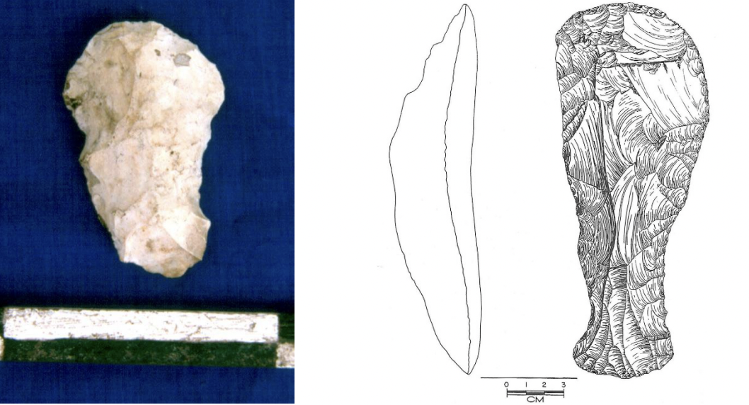 <p>constructed uniface axes</p><p>made of stone </p><p>Early Archaic Period </p><p>used for cutting and agriculture </p>