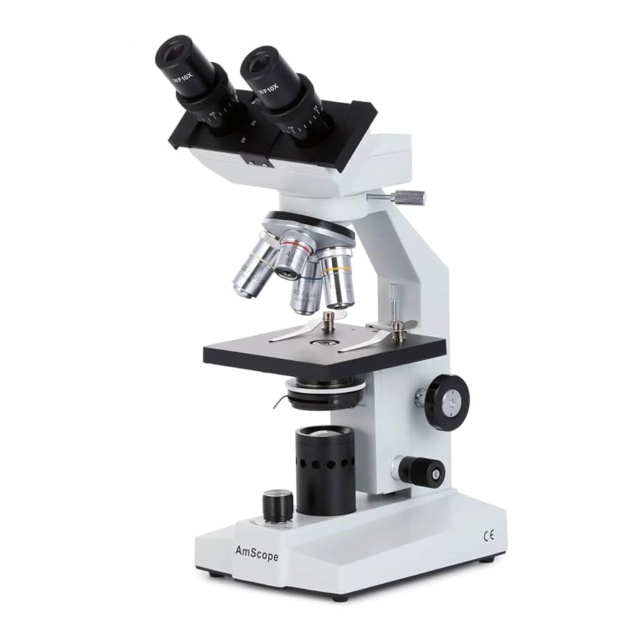<p>function of a compound binocular microscope</p>