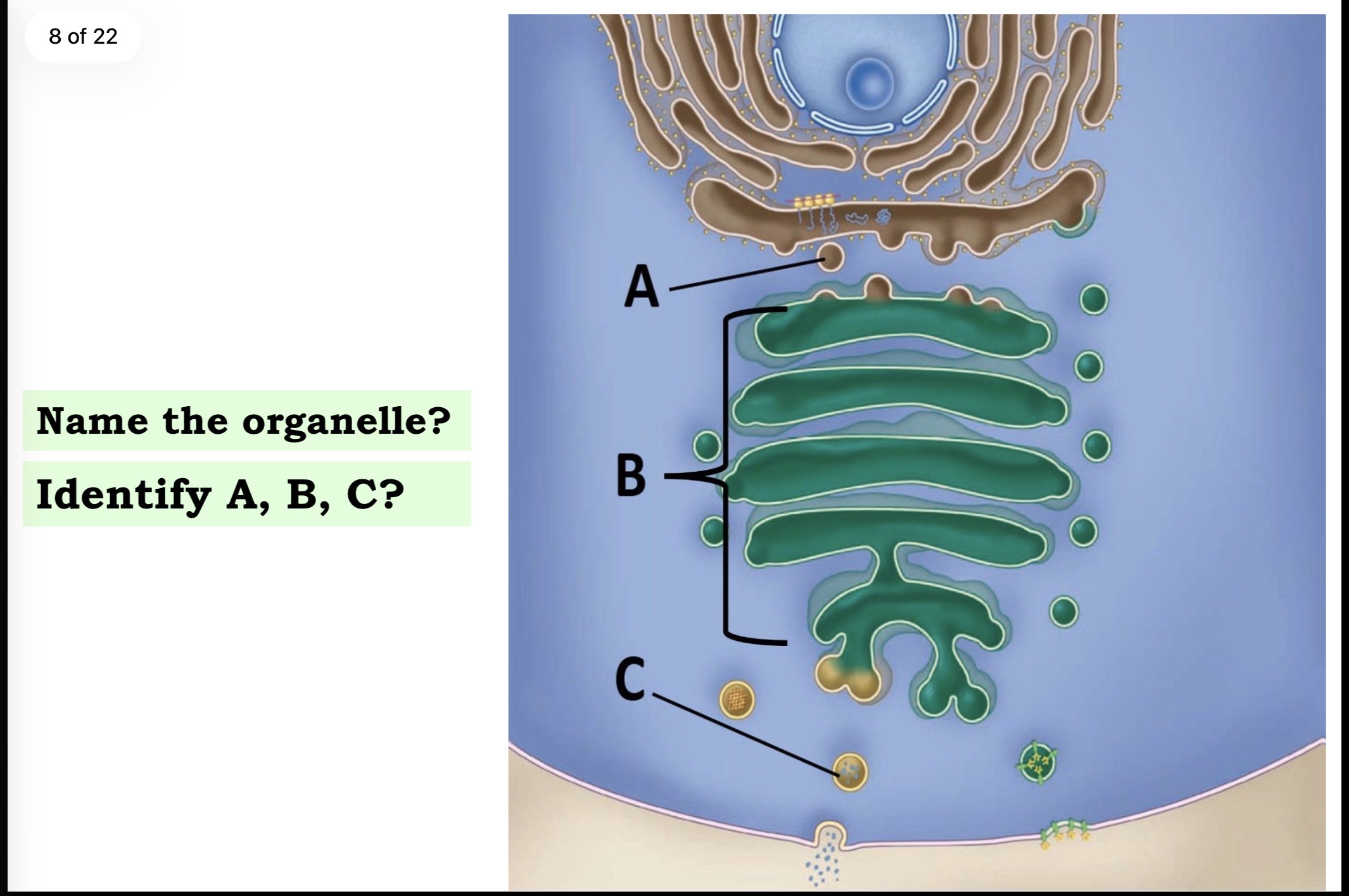 <p>Answer the questions in these following pictures </p>