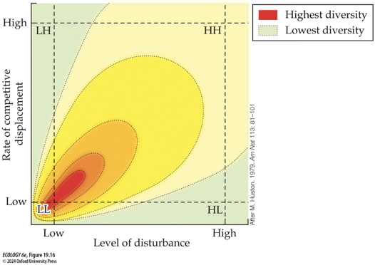 <p><span>Huston’s<strong> dynamic equilibrium model… </strong></span></p>