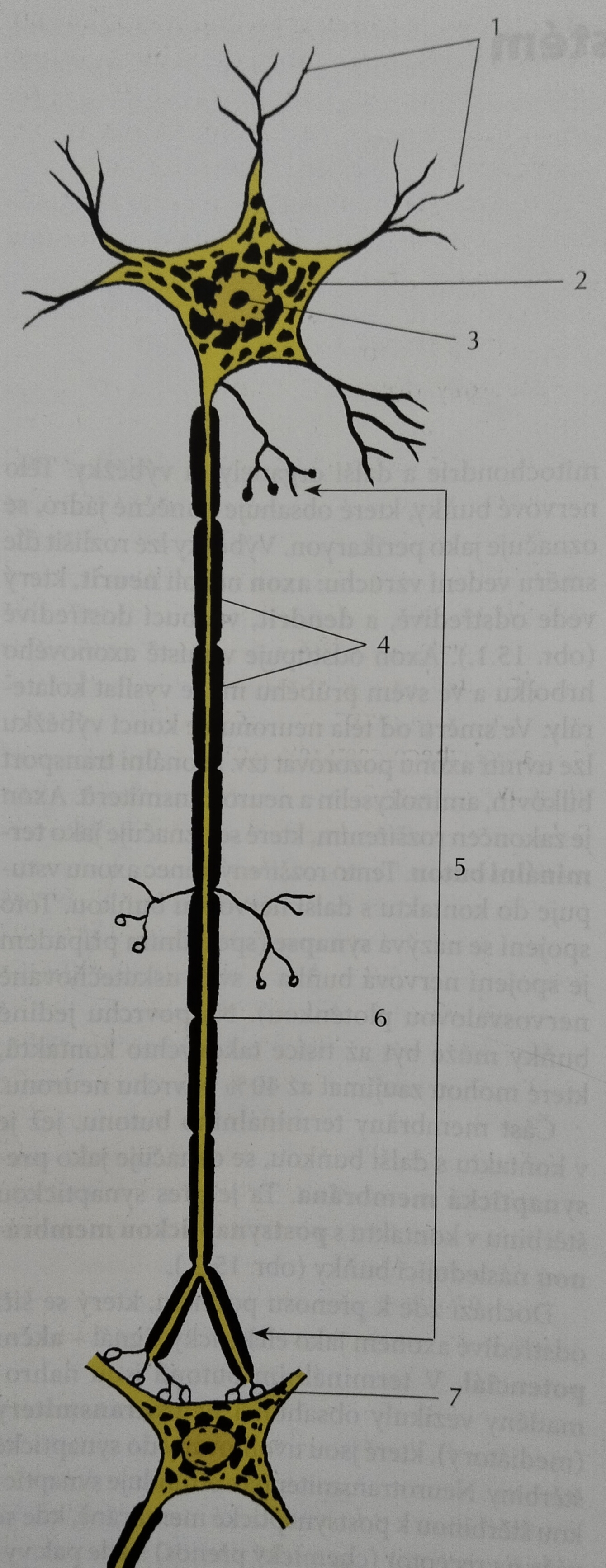 <p>1</p>