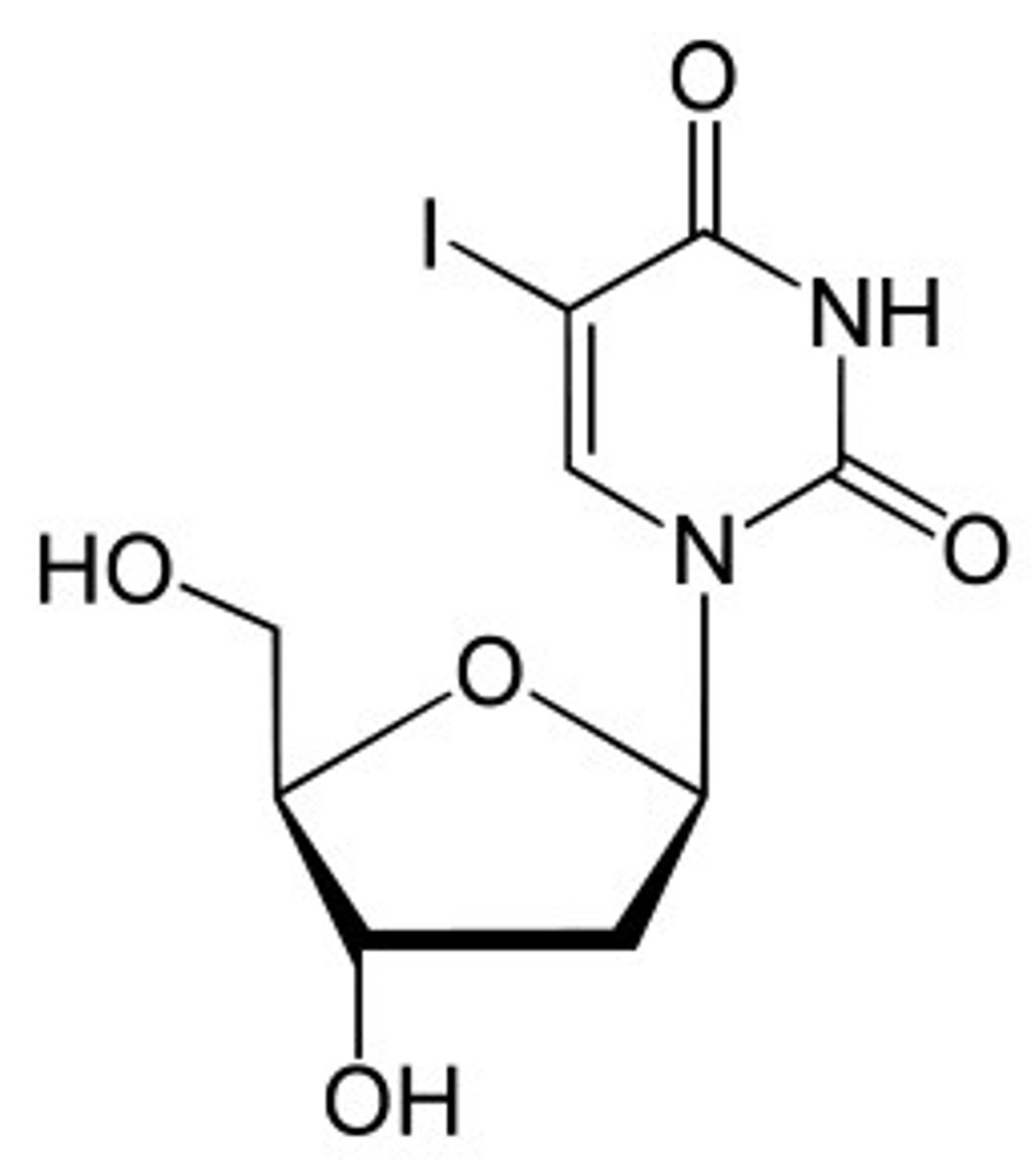<p>nucleoside</p>