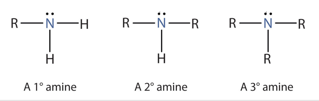 <p>Composé organique avec un groupe amine</p>