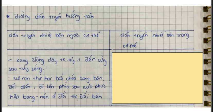 <p>Đường dẫn truyền hướng tâm gồm</p>