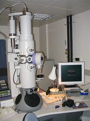 <p>Electron microscopes are used to study detailed structures of a cell that cannot be easily seen or observed by light microscopy. They are capable of resolving structures a small as a few nanometers in length, such as individual virus particles or the pores on the surface of the nucleus.</p>