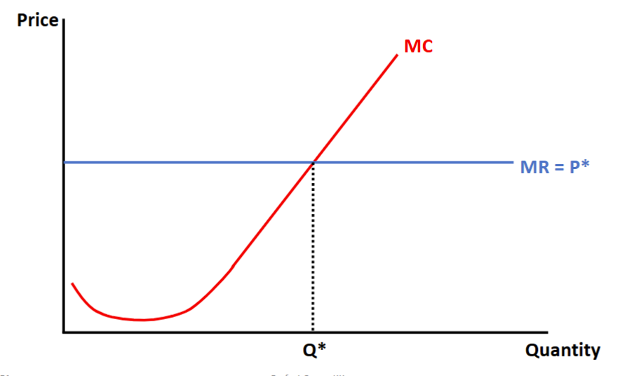 <p>Marginal Revenue &amp; Marginal Cost</p>