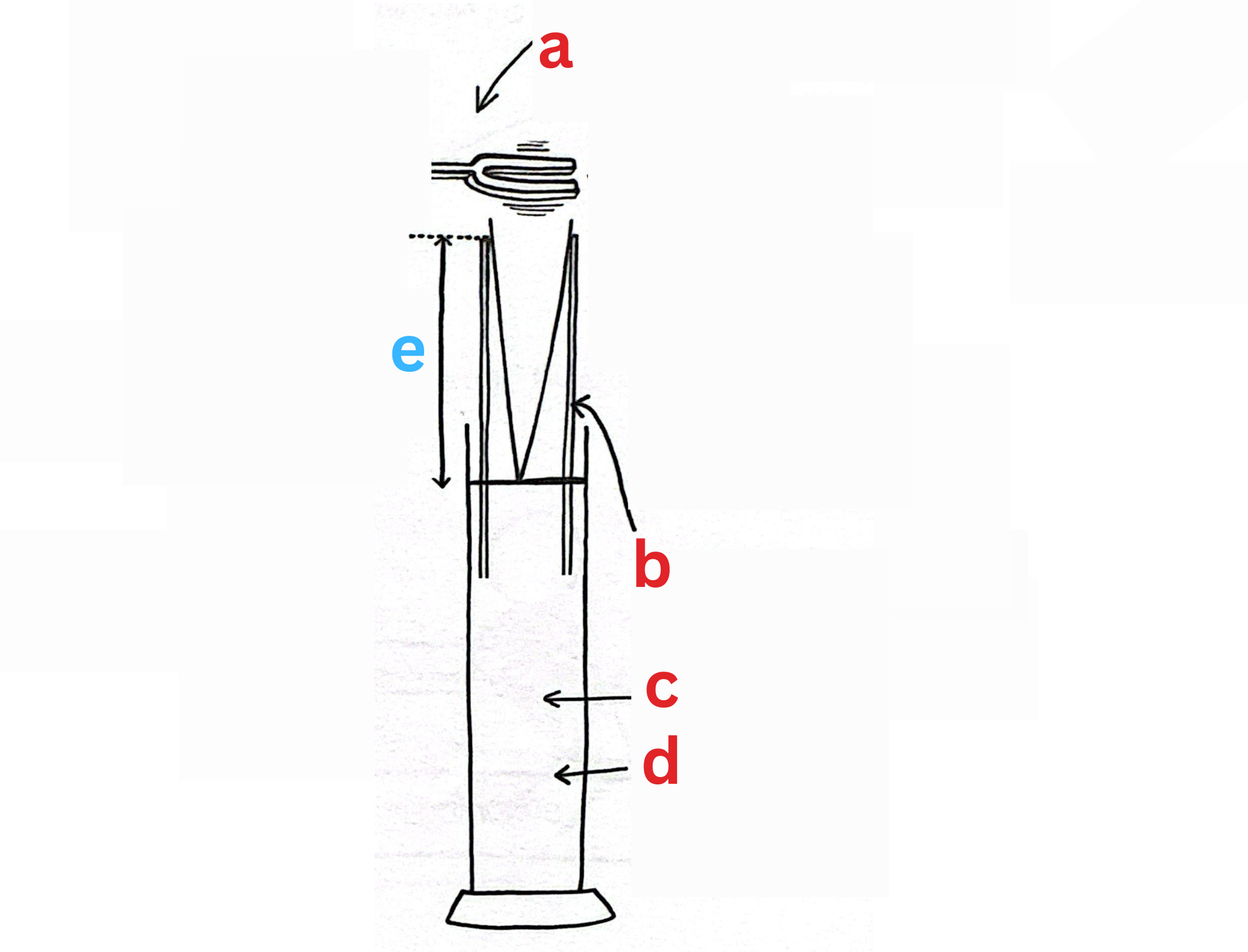 <p>Label This Diagram</p>