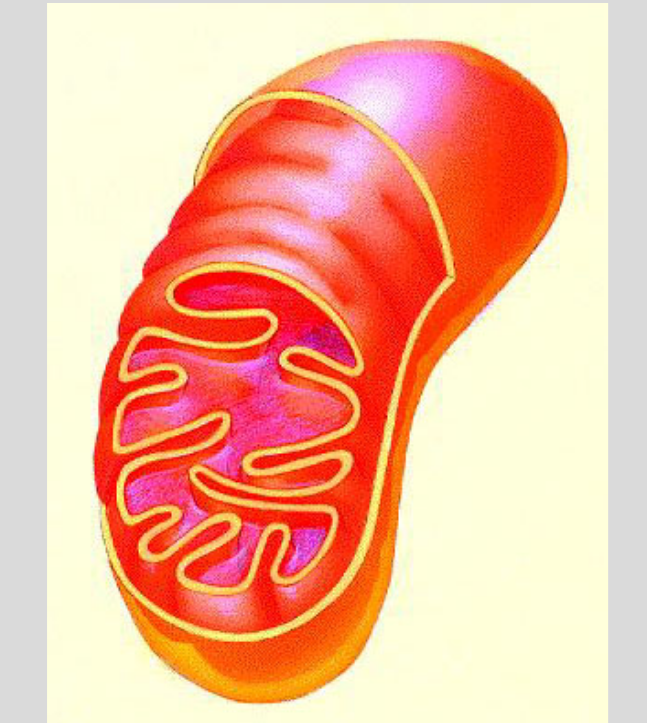 <p>What is this?</p>