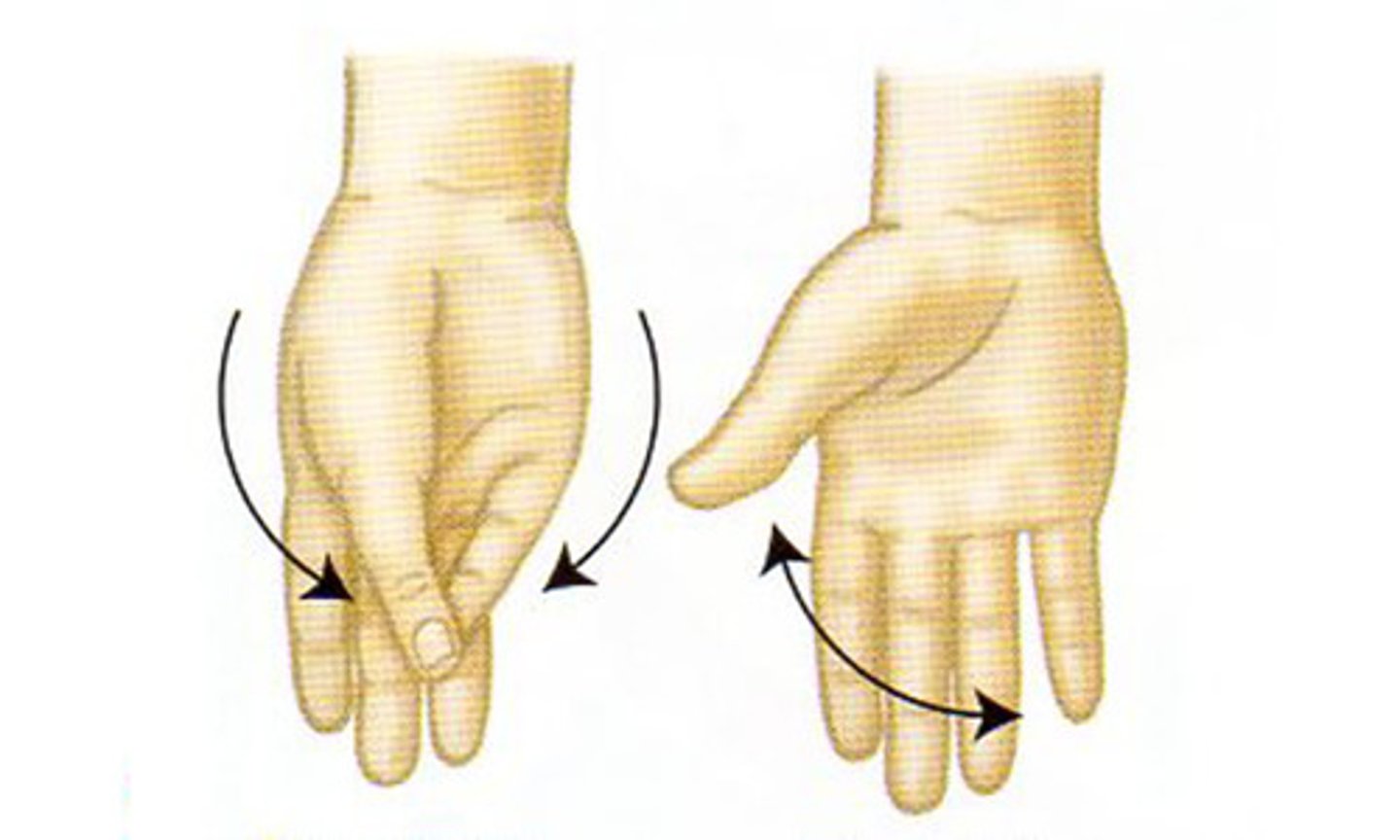 <p>what movements are these</p>