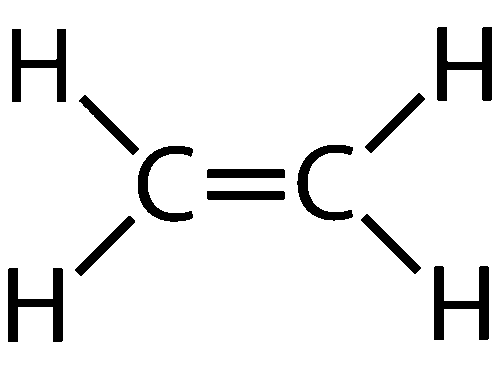 <p>Double bonds </p>