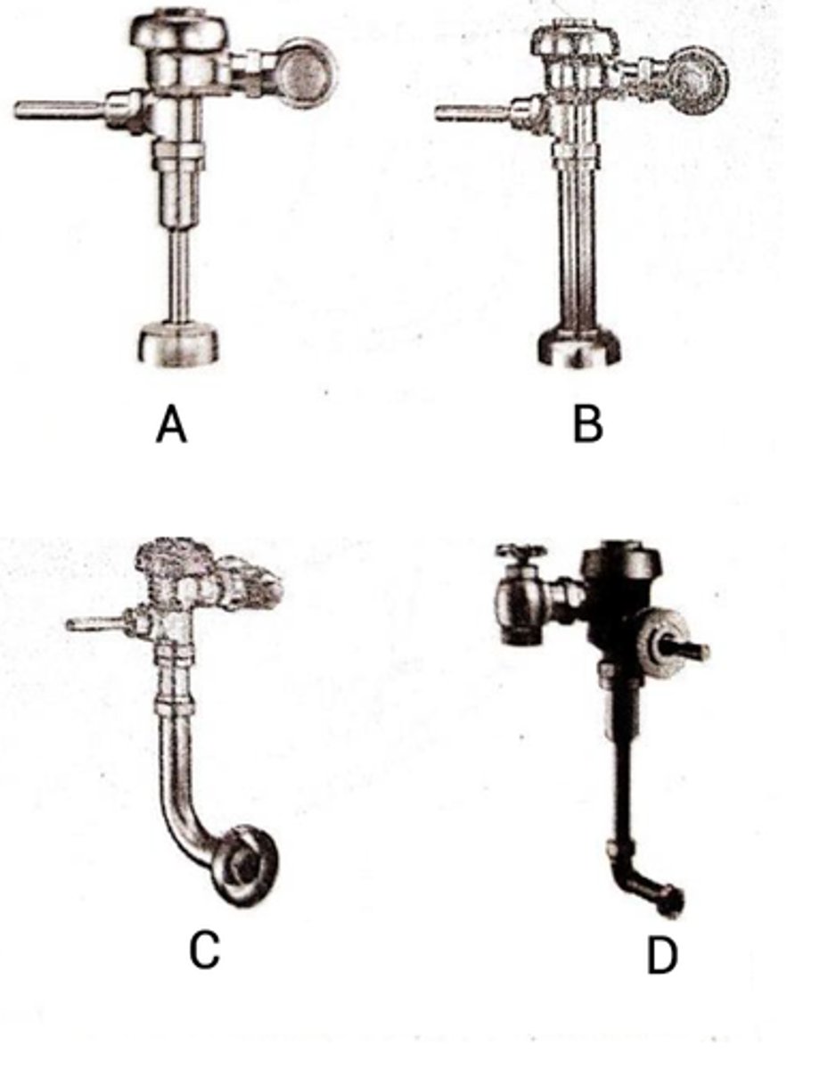 <p>Identify item C</p>