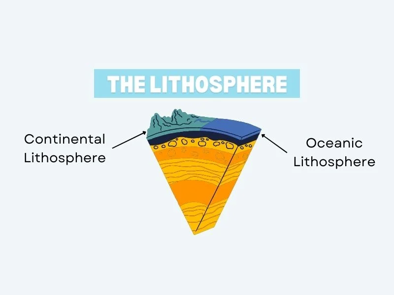 <p>lithosphere</p>