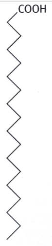 <p>fatty acids in which the hydrocarbon chain holds as many hydrogens as it possibly can</p><p>form a straight chain (depicted as zigzag)</p><p>tend to form solid aggregates and deposits inside blood vessels</p><p>(think: straight dry spaghetti strands, able to fit together nicely)</p>