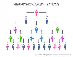 <p>Hierarchies</p>