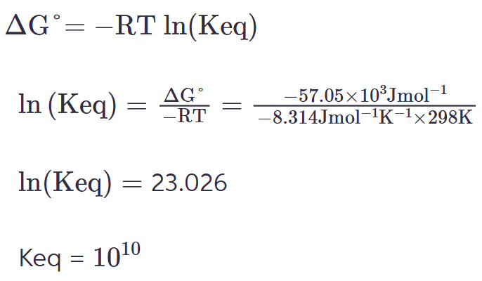 <p>10<sup>10</sup></p>