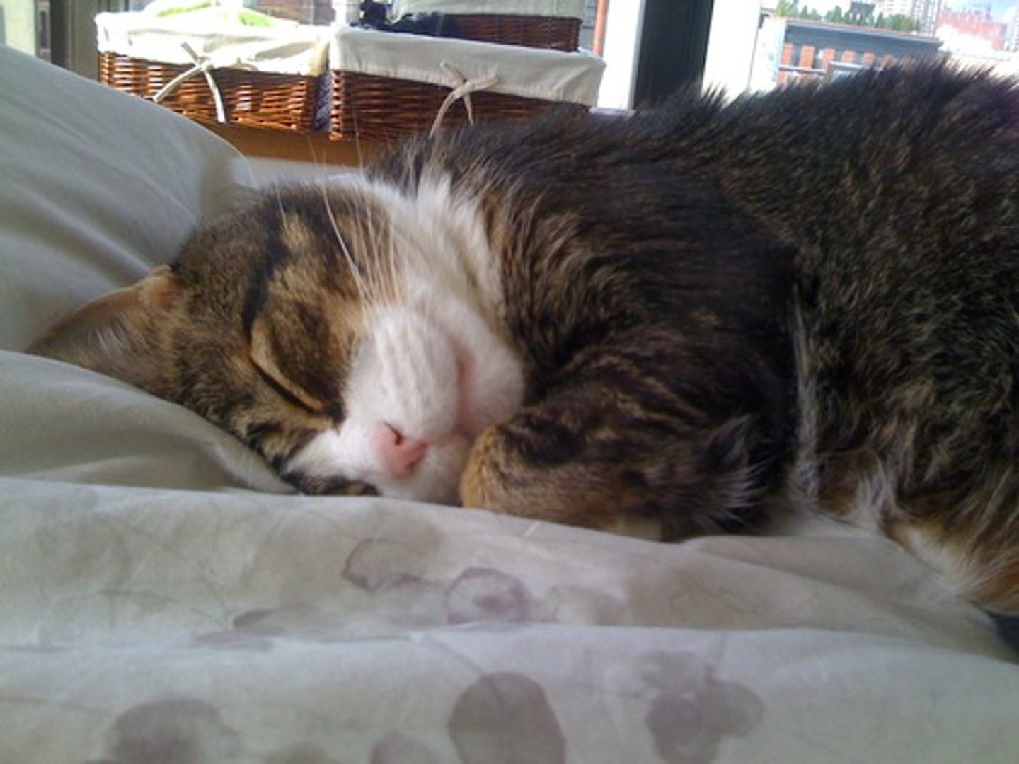 <p>asleep</p>