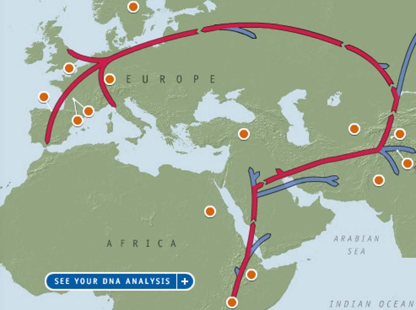 <p>Form of relocation diffusion involving permanent move to a new location.</p>