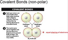 <p>A non-polar covalent bond is a covalent bond in which the electrons are shared equally between the atoms.</p>