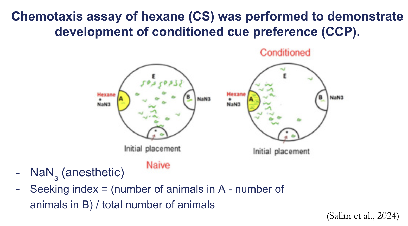 <p><span><strong>Chemotaxis assay of hexane (CS) was performed to demonstrate development of conditioned cue preference (CCP).</strong></span></p>