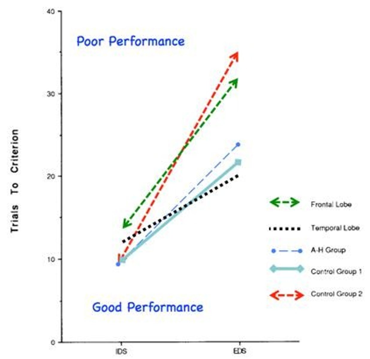 <p>The study found differences in extra-dimensional versus intra-dimensional set shifting performance following various types of brain excisions.</p>