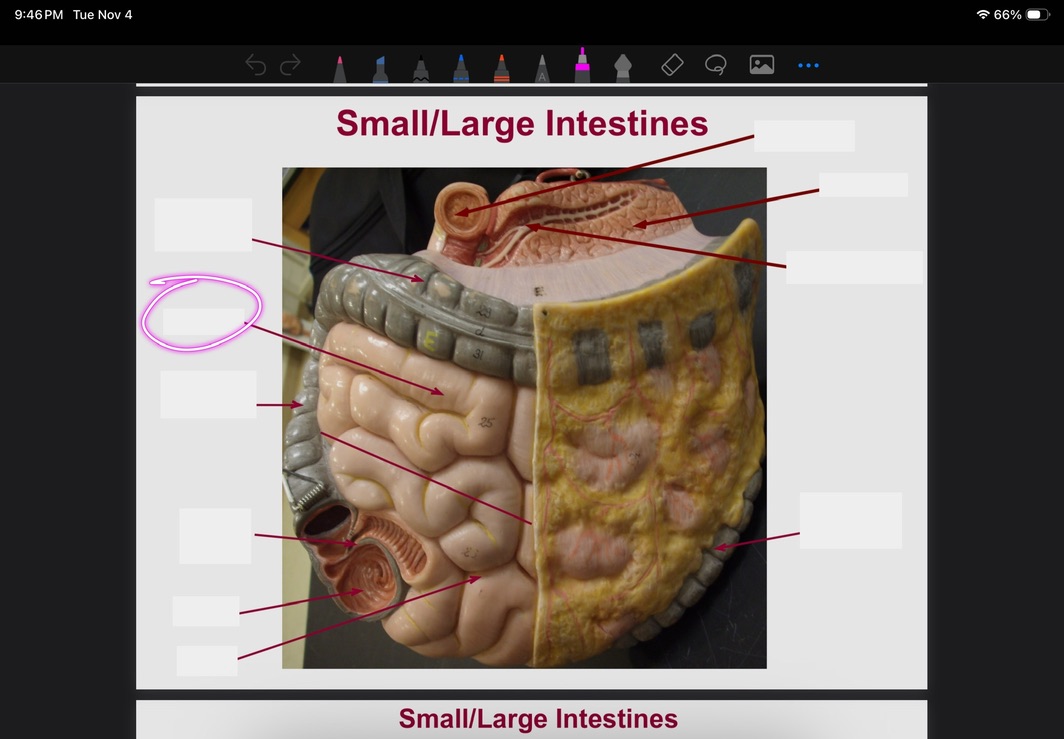 <p>What is this?</p>