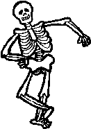 skeleton