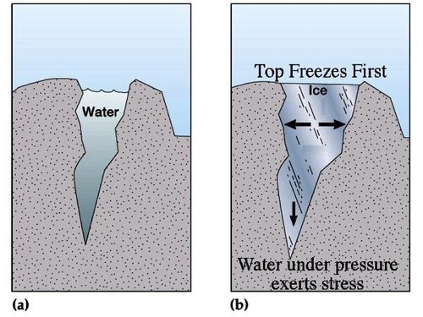 <p>Water freezes in cracks, increasing volume ~9%, leading to tensile stress that exceeds rock strength.</p>