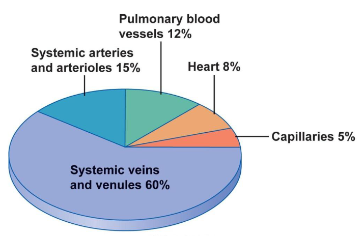 <p>Mostly in the systemic veins and venules (60%)</p>