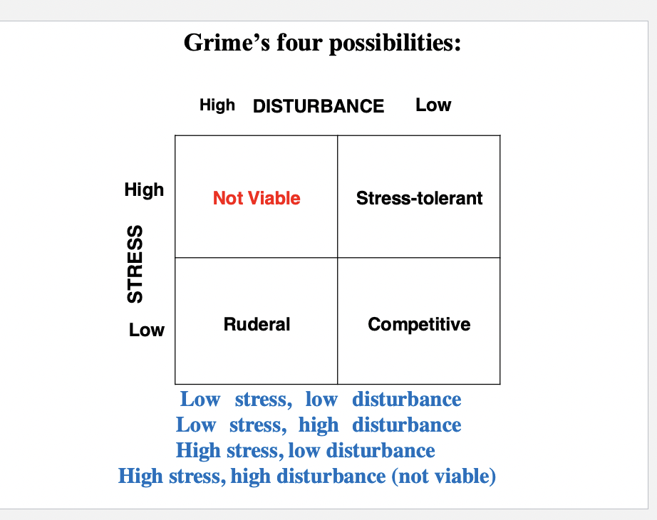 <p>Grimes 4 possibilites </p>