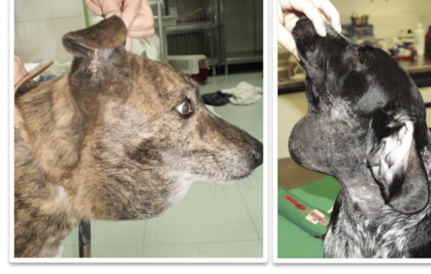 <p>what is the problem?</p>