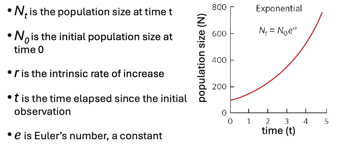 <p>occurs when a population increases at a constant rate over time, leading to rapid growth described by a smooth curve. population increase by unit r</p>