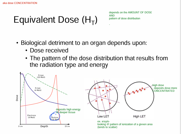 <p>1) Dose received</p><p>2) Dose distribution pattern (depends on radiation TYPE &amp; energy)</p><p></p><p>Ex. proton = deeper<br>Ex. e- = surface</p>