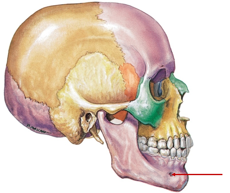 <p>Small hole near chin</p>