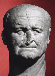 <p>Portrait Head of Emperor Vespasian</p>