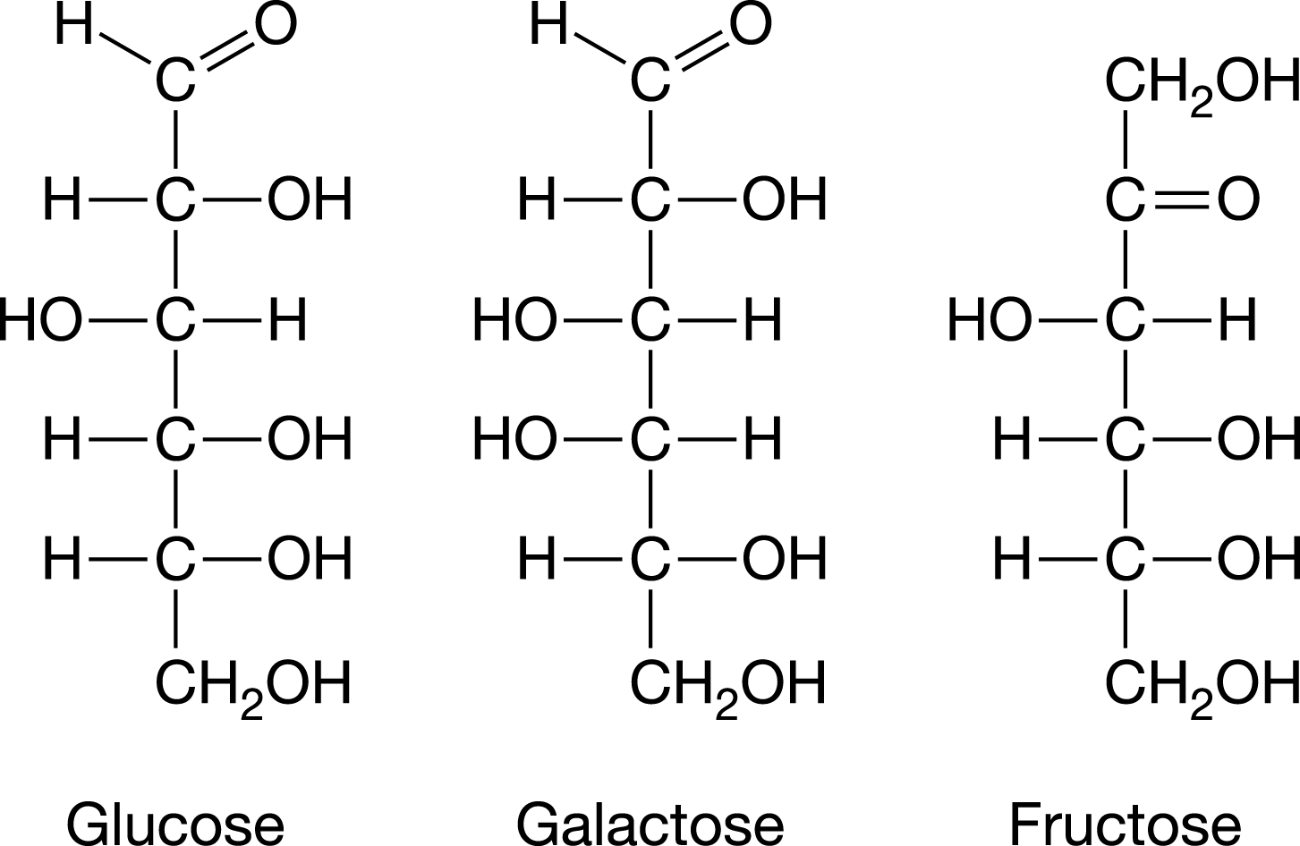 <p><span>Which of the following statements about glucose, galactose, and fructose is most likely true?</span></p>