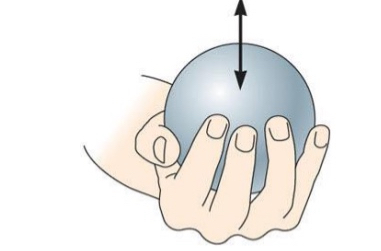 <ul><li><p>Weight</p></li><li><p>Carry something to see how heavy it is while moving up and down</p></li></ul><p></p>