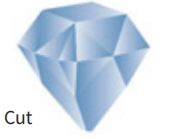 <p>What cut is this?</p>