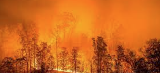 (noun): a large, disastrous fire

“…there would be a glow of a rich, lurid brown, like the light of some strange conflagration.”