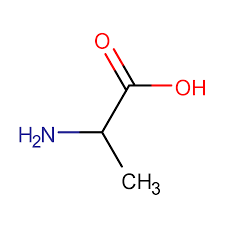 <p>alanine (ala)</p>