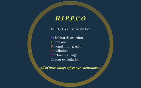 <p>HIPPCO</p>