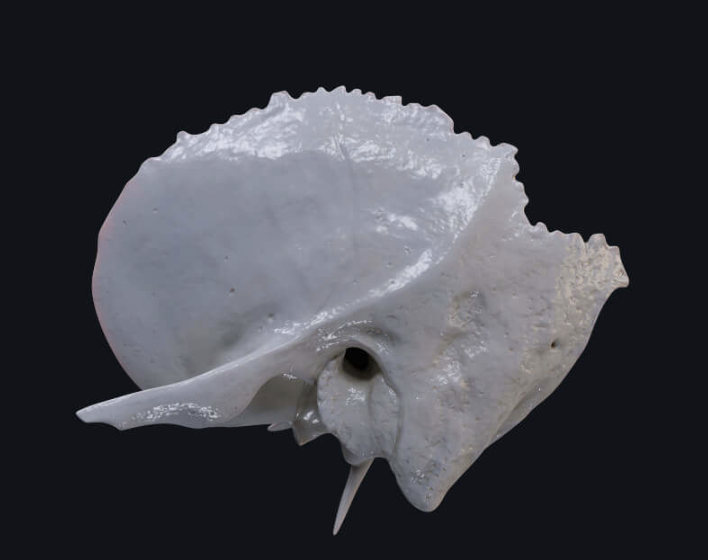 <p>What is this?</p>
