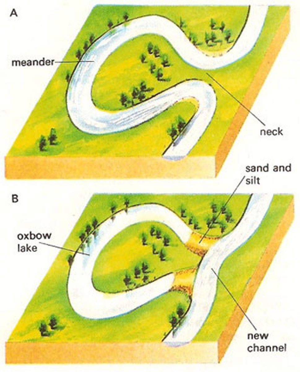 <p>a crescent-shaped lake (often temporary) that is formed when a meander of a river is cut off from the main channel</p>