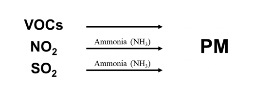 <ul><li><p>Sources may emit PM directly into the environment or emit precursors such as sulfur dioxide (SO2), nitrogen dioxide (NO2), and volatile organic compounds (VOCs), which are transformed through atmospheric chemistry to form PM.&nbsp;</p></li></ul>
