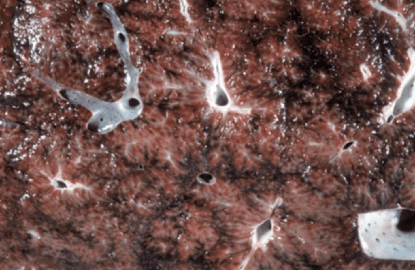 <p>What is being shown in this photo?</p>